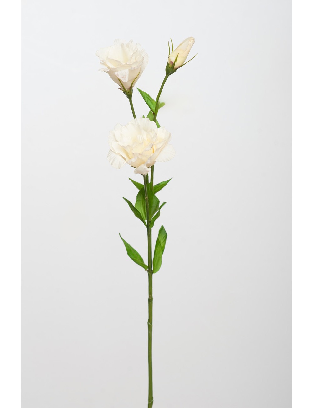 Kwiat Sztuczny Eustoma Krem