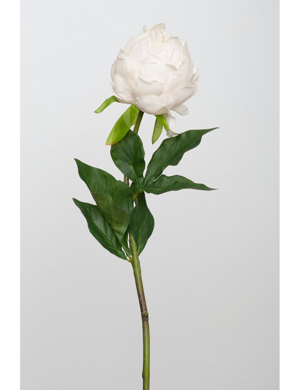 Kwiat Sztuczny Peonia Krem