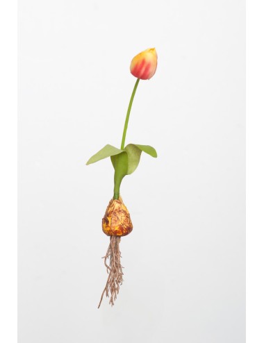 Kwiat Sztuczny Tulipan z...