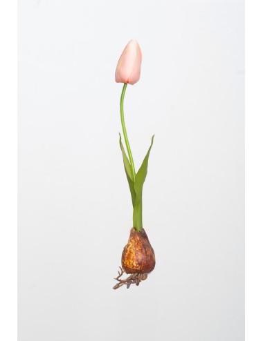 Kwiat Sztuczny Tulipan...