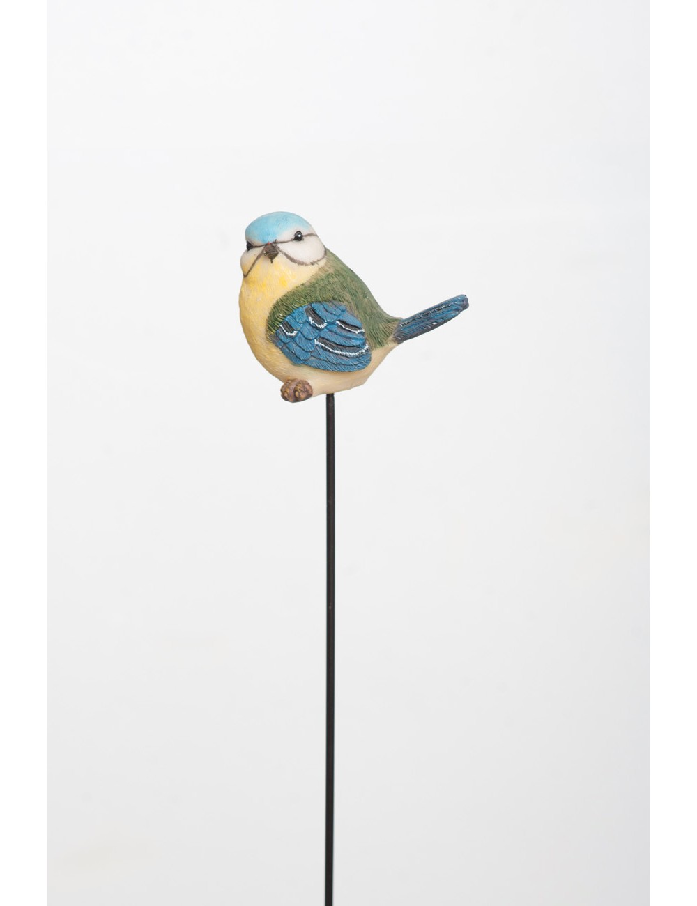 Ptak na Drucie dwa wzory