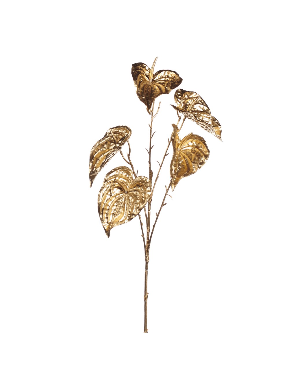 Kwiat złoty anturium