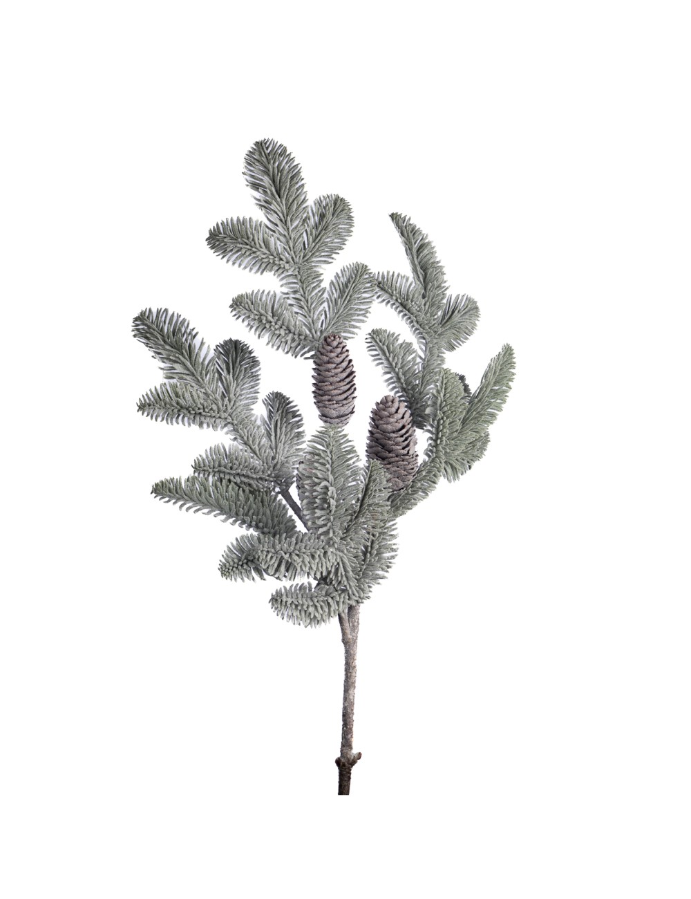 Gałązka świerk szyszka śnieżona