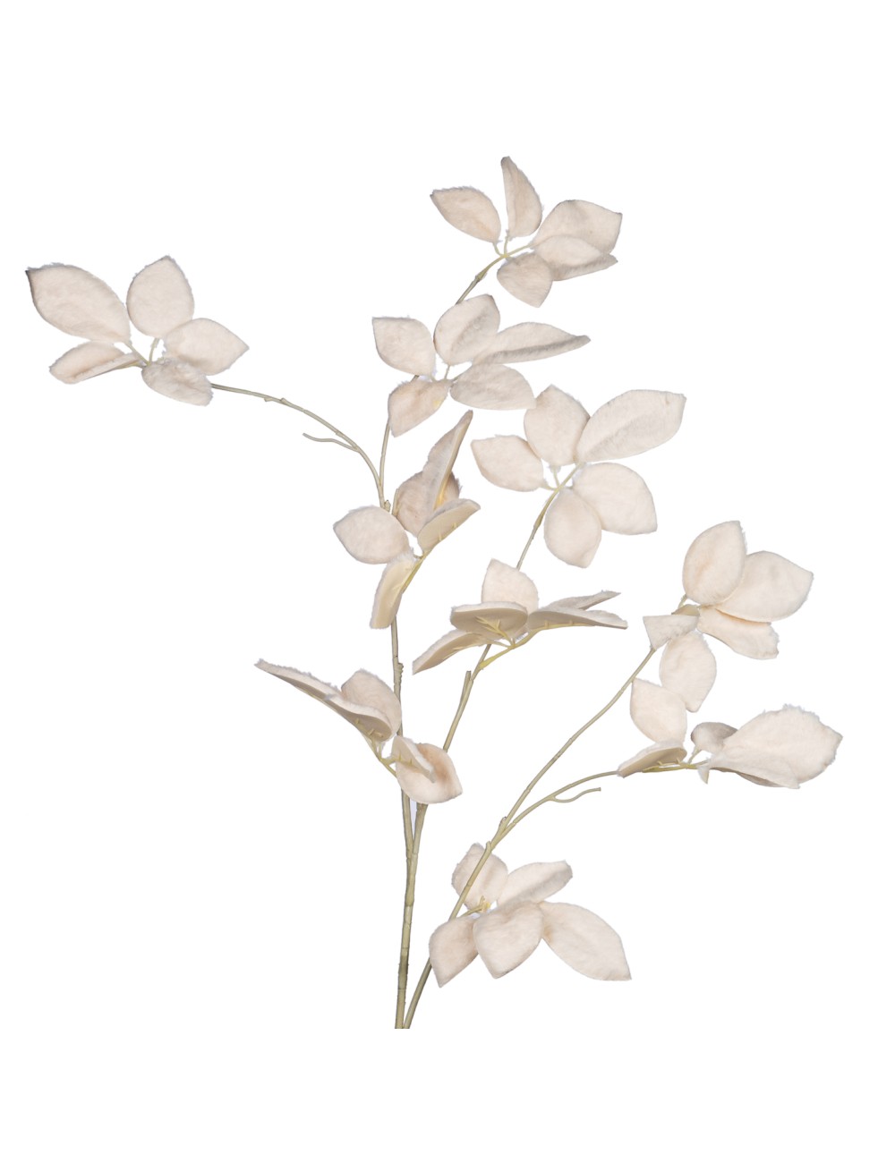 Gałązka biała futerko