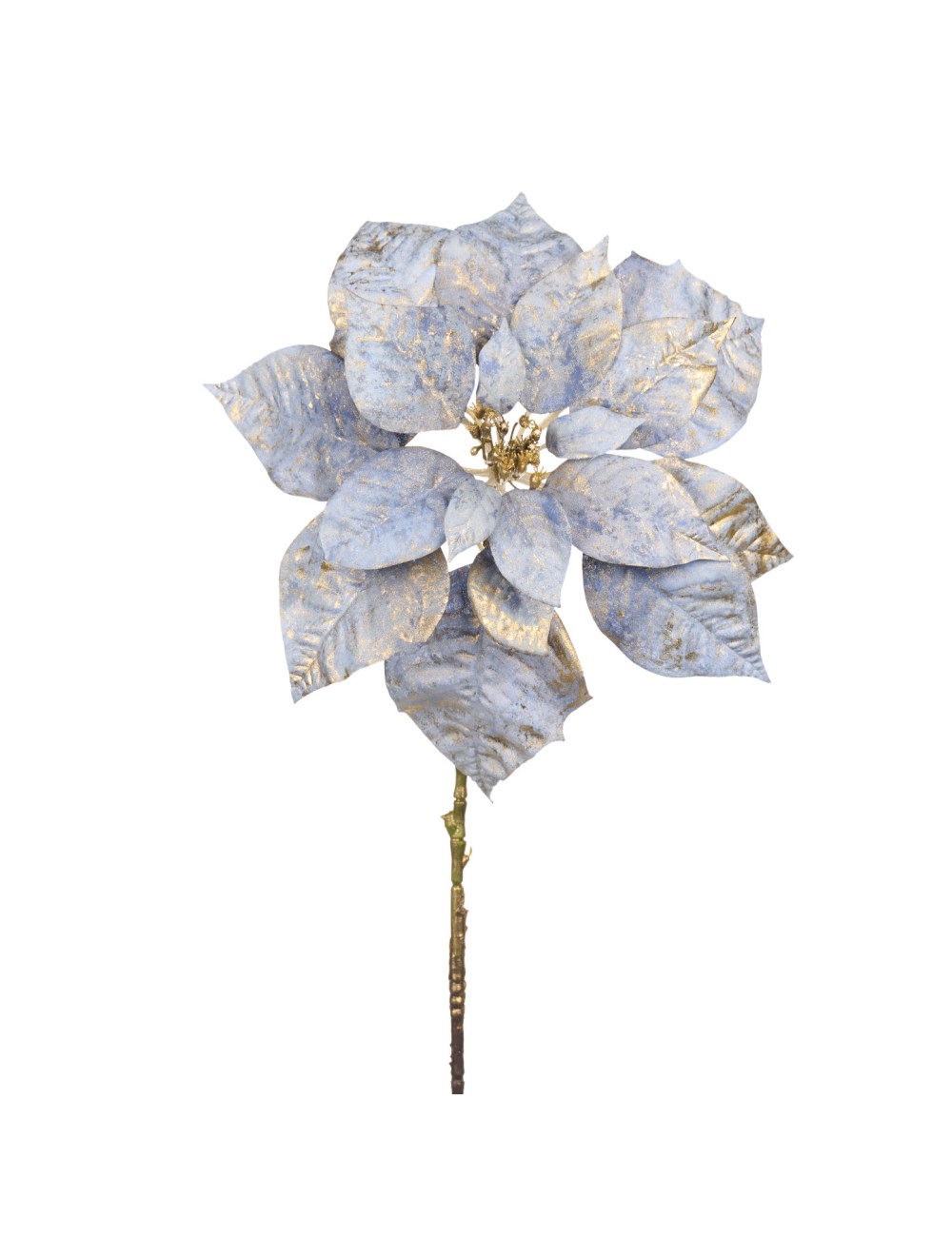 Kwiat Ponisecja niebieska