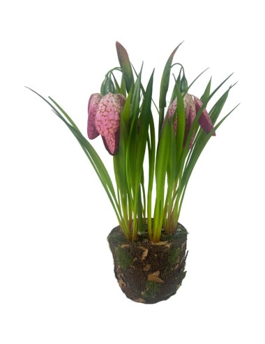 Kwiat  wiosenny różowy