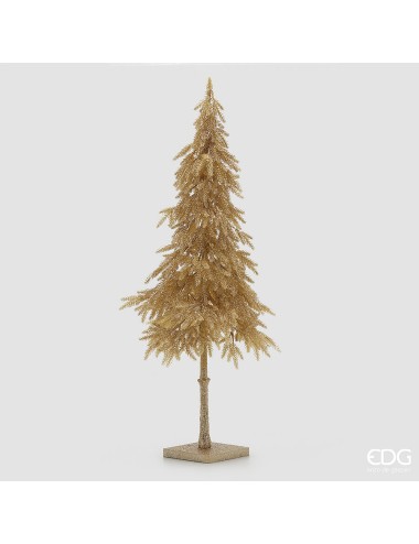 Choinka świerk złoty duży