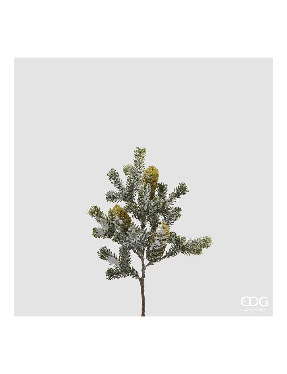 Pik świerkowy ośnieżony