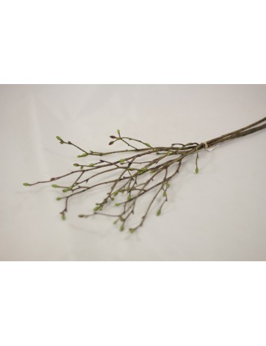 Gałązki wiosenne wiązka