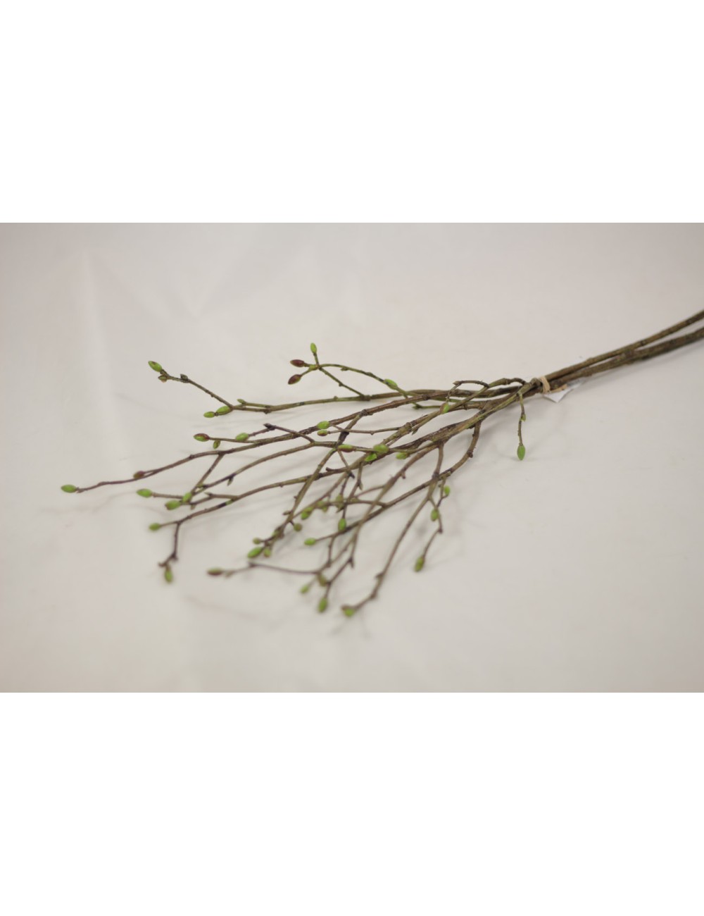 Gałązki wiosenne wiązka