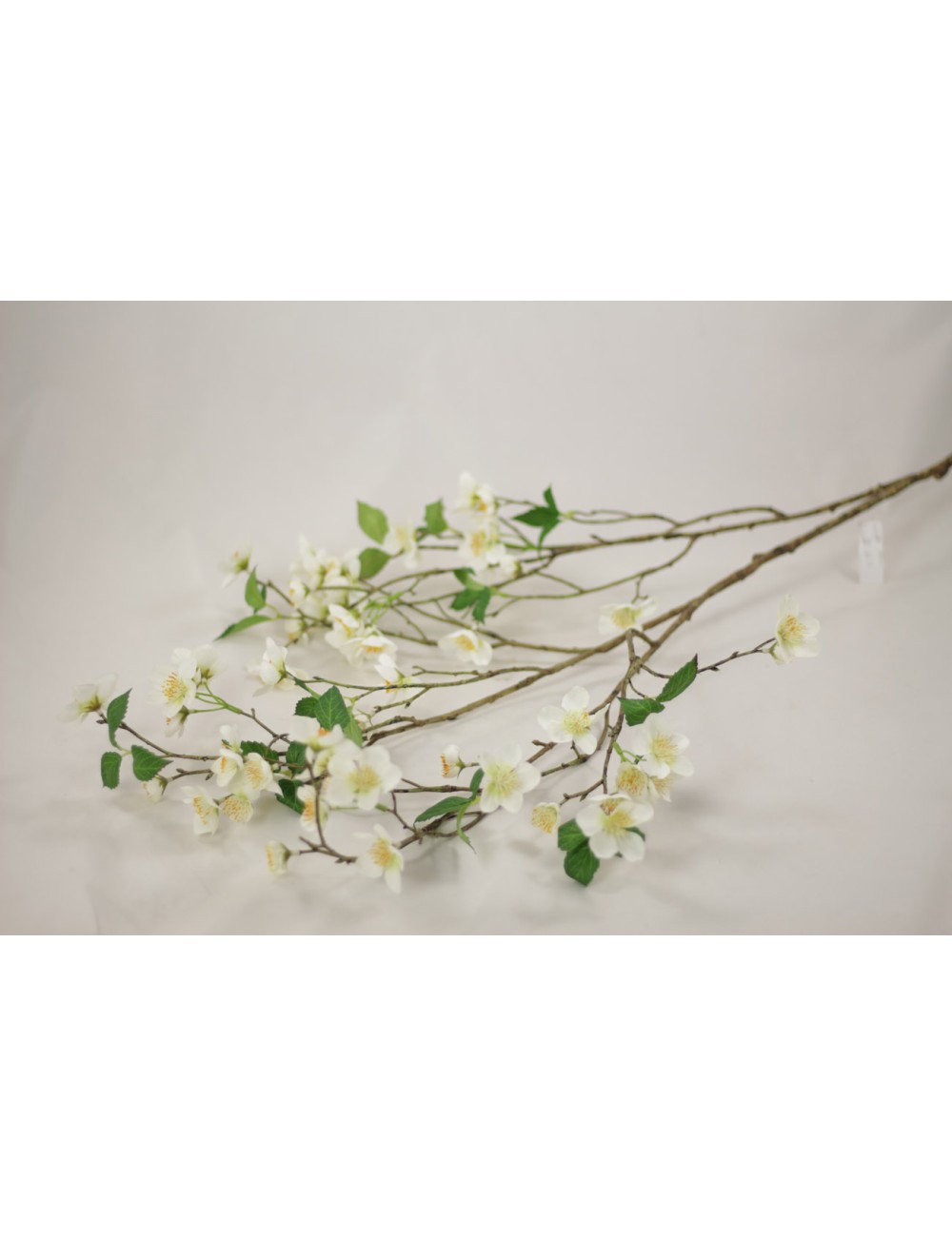 Gałązka wiosenna jabłoń