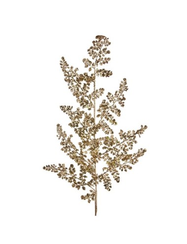 Gałązka paproć złota